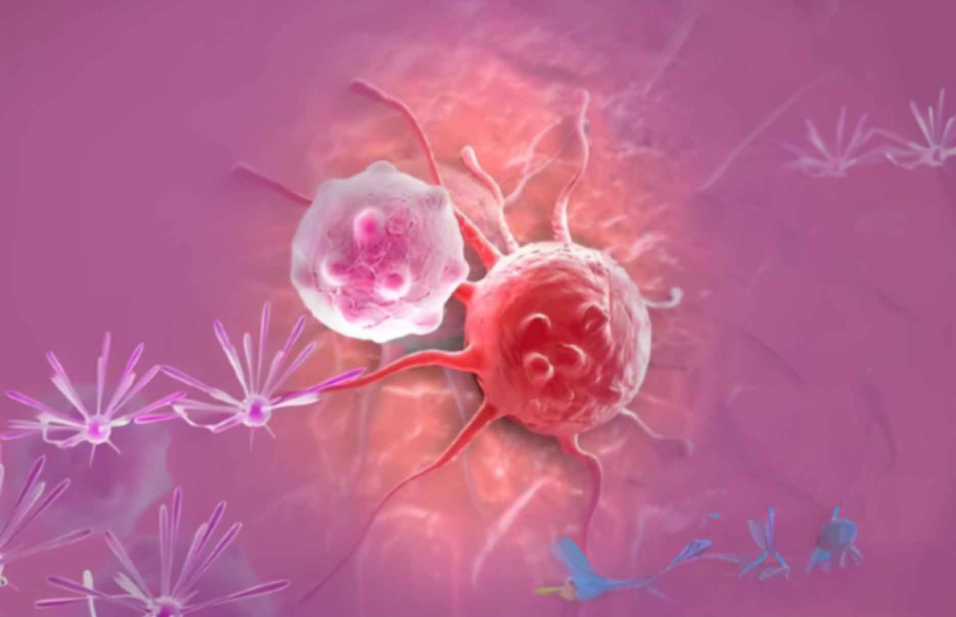 长沙芙蓉司法亲子鉴定需要几个样本
