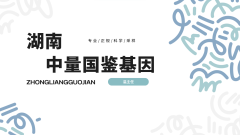 <b>长沙市怀孕亲子鉴定如何办理（附费用明</b>