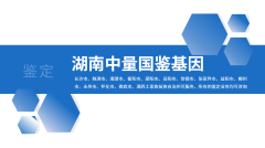 <b>2025年推荐!长沙市孕期亲子鉴定办理中心</b>